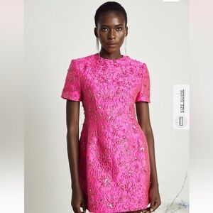 Celestia Floral-Appliqué Embellished Mini Dress in Pink